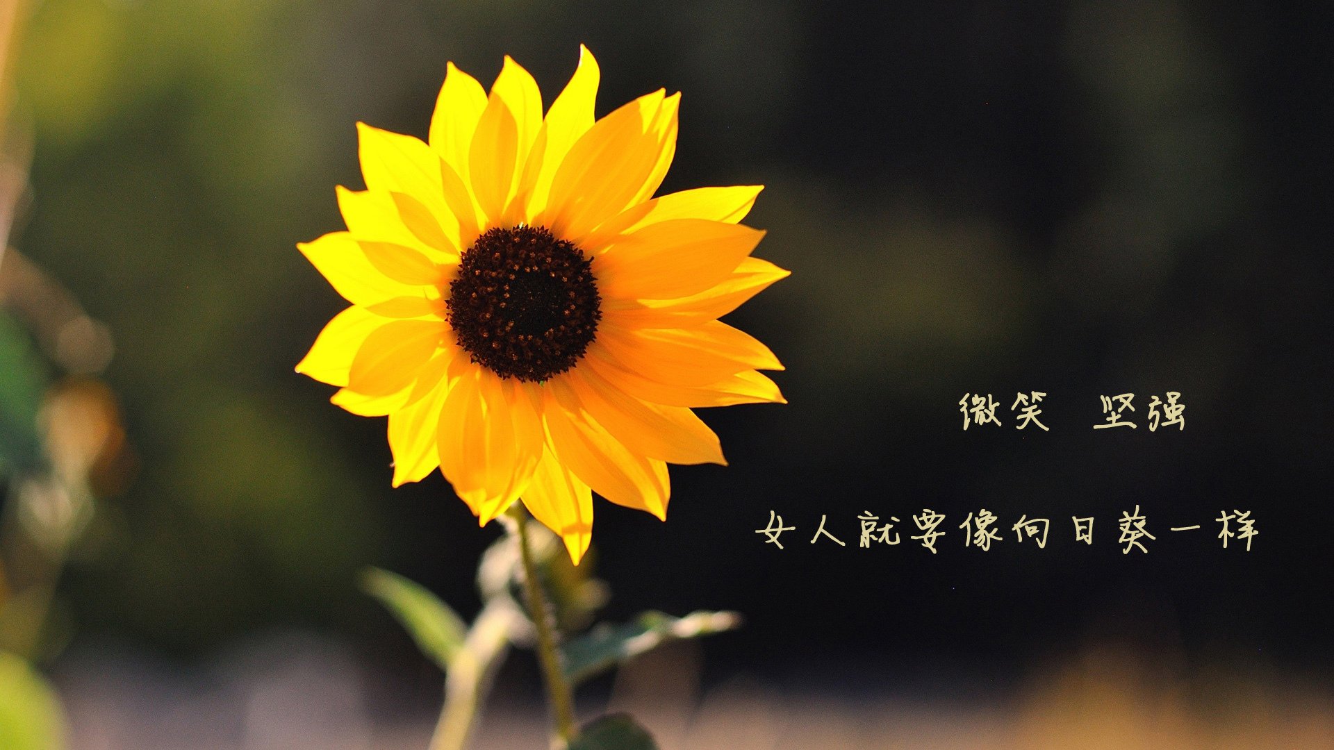 九游app官网下载-足球青训阶段引入模块化课程体系，足球青训训练内容