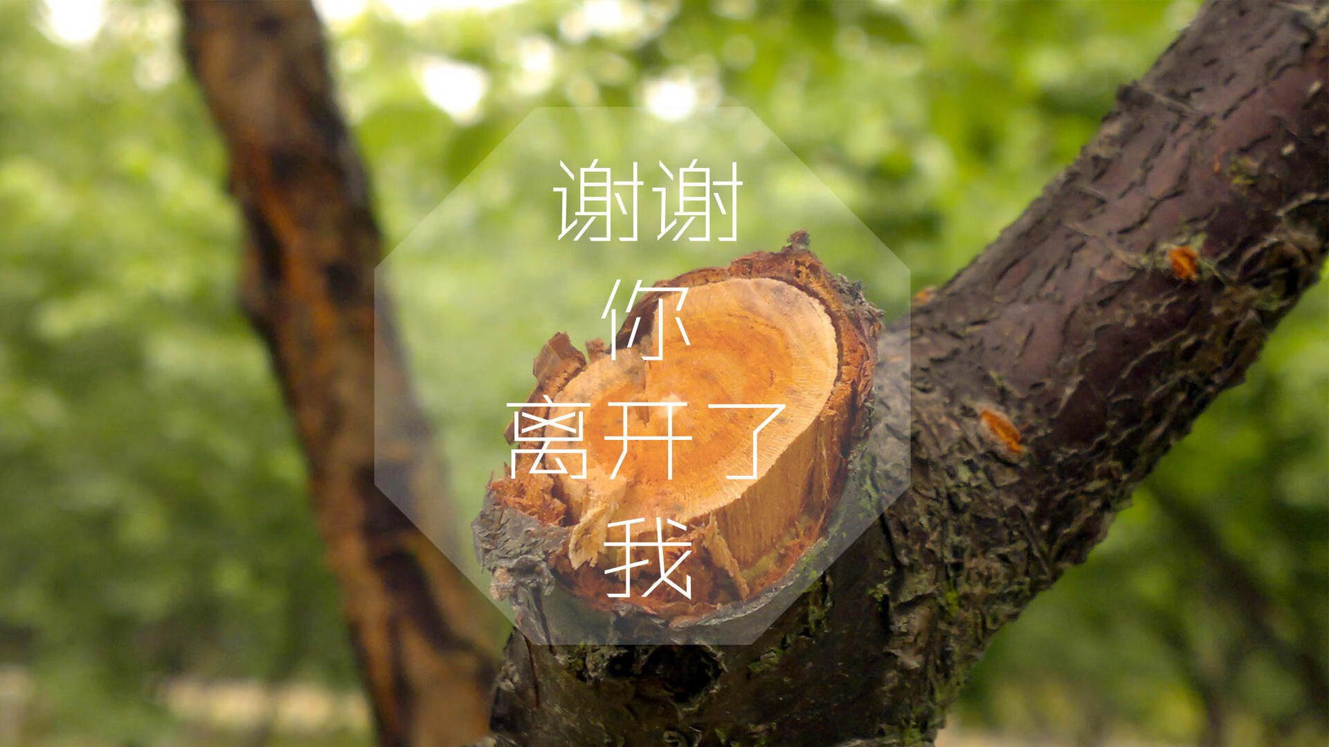 九游（jiuyou.com）游戏-中国复合弓男队在射箭世界杯上海站团体赛中表现出色，中国复合弓能射多远
