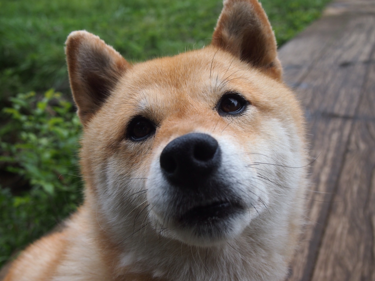 NBA赛季盖帽效率提升,nba季后赛盖帽榜百度百科