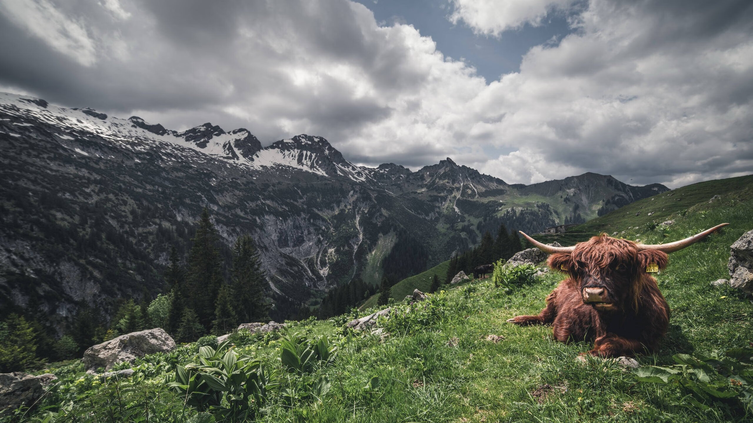 九游娱乐官网 (JIUYOU)-NBA赛事直播技术革新，nba赛事网络直播