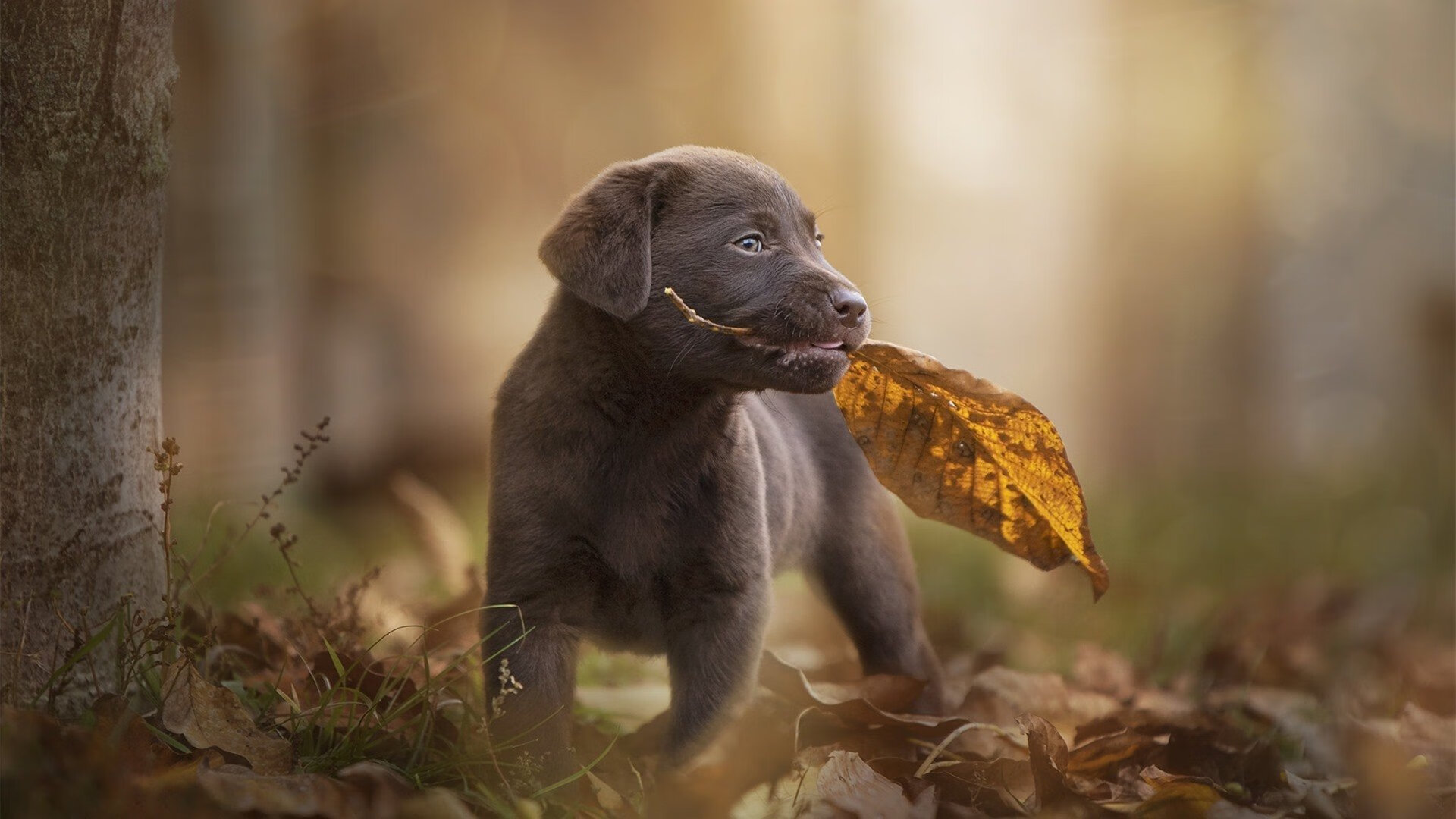 九游-体育场馆运营管理优化措施，体育场馆运营管理优化措施有哪些