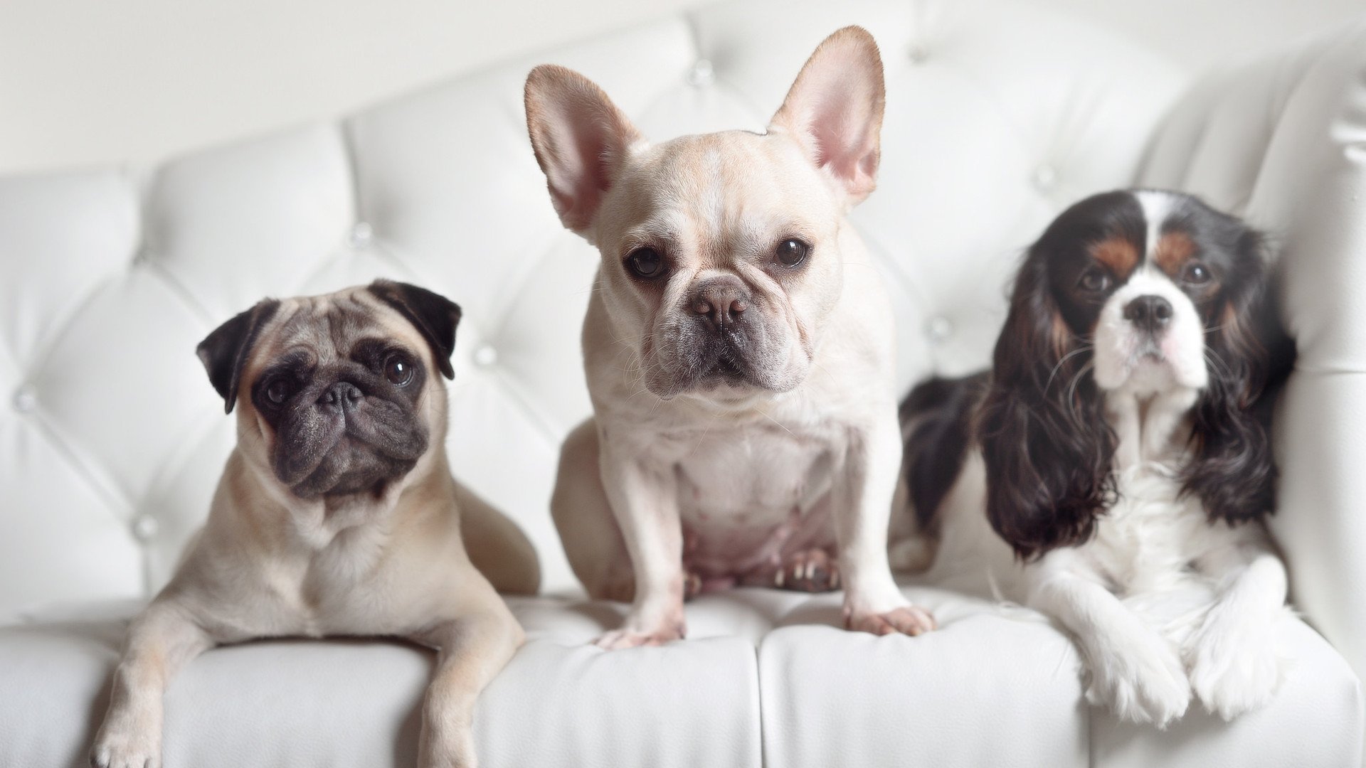 体育场馆安全应急预案制定,体育场馆安全管理方案