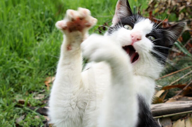 篮球运动员心理恢复训练方法及效果研究,篮球运动员心理训练计划