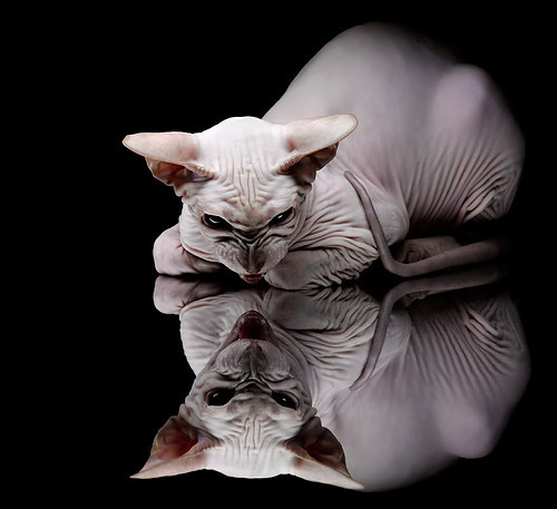 西甲裁判语言指令对比赛节奏掌控的影响分析,西乙裁判