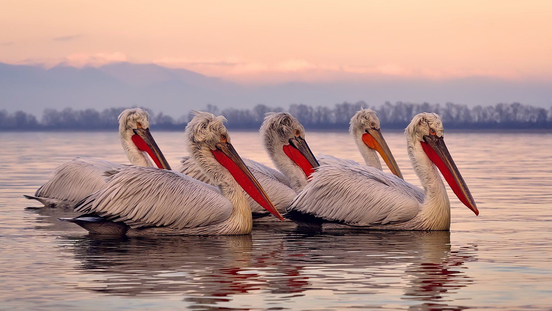 九游app下载中心-奥预赛中国女足战胜 球迷支持球队努力，中国女足球奥运会预选赛赛程时间表