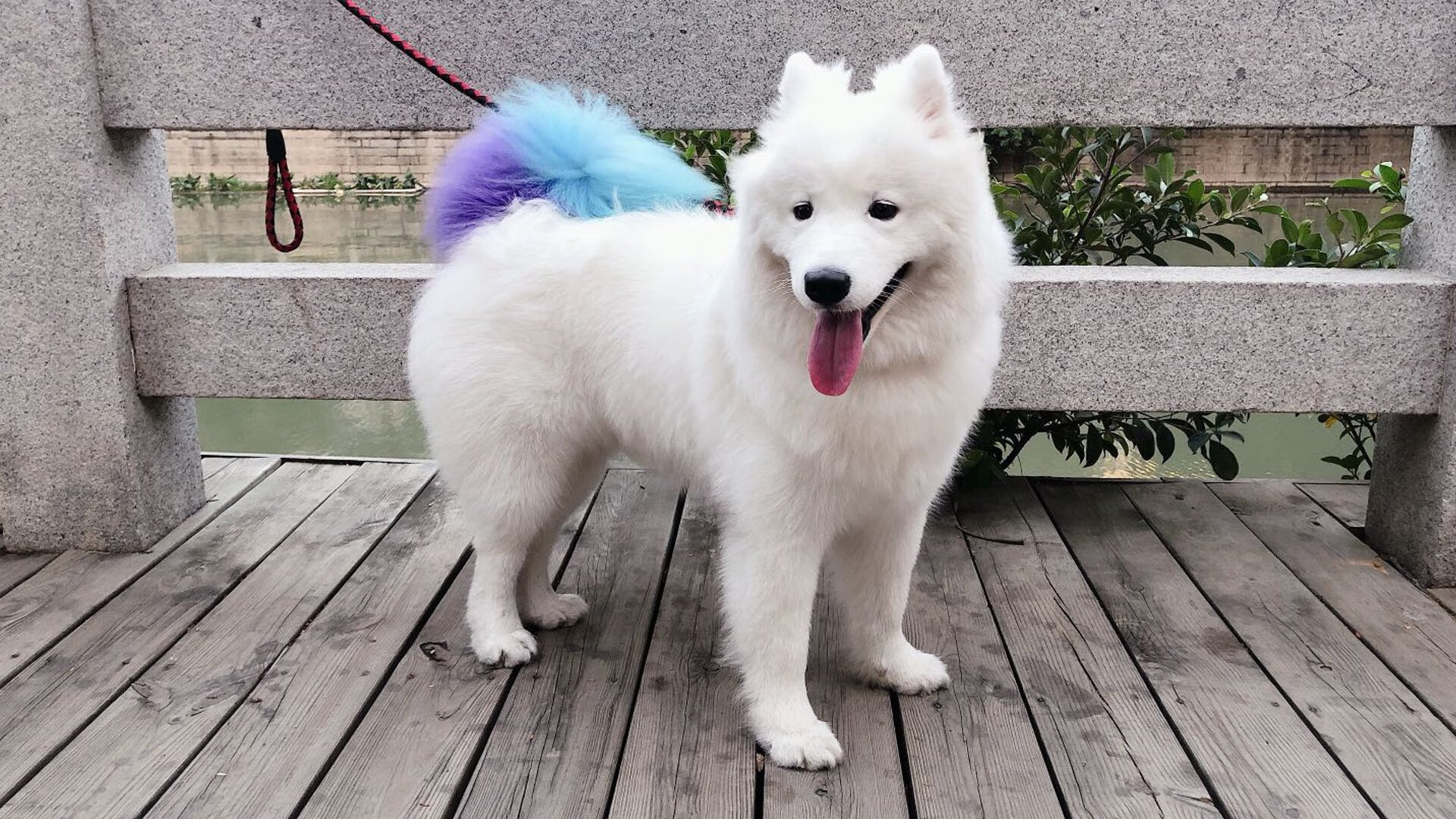 快攻高手转换进攻最强球队,快攻成功率最高