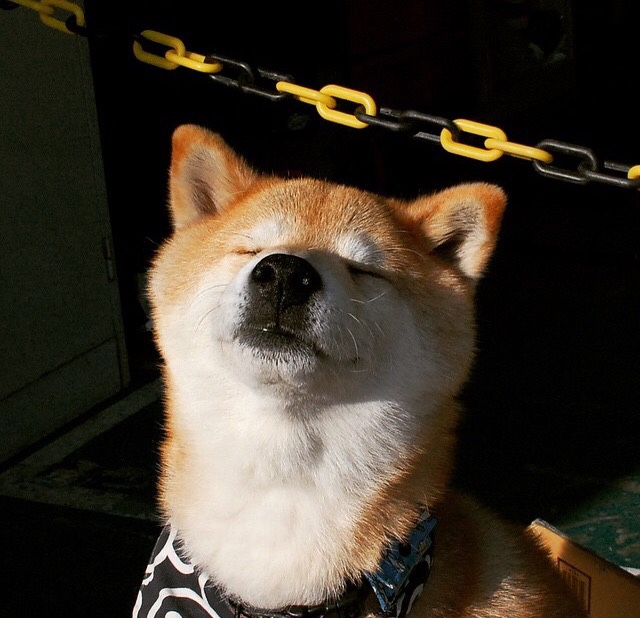 城市足球发展指数公布多地成绩优异形成良性竞争,城市足球发展健康指数排名