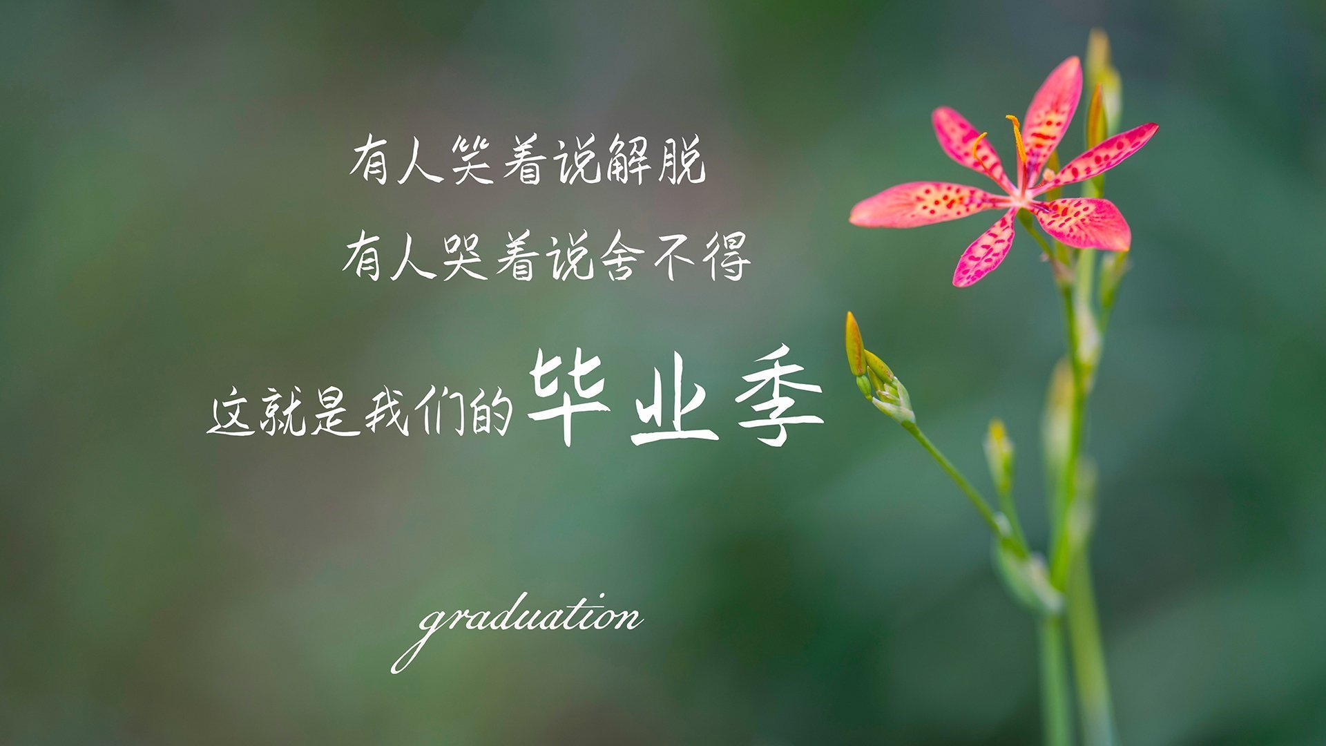 九游网页版官网-西甲战火重燃：攻防精彩瞬间不断！，2021西甲揭幕战