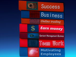 九游乐鱼电竞-中国篮球职业联赛经济效益提升路径及风险管理，中国篮球职业联赛的看法